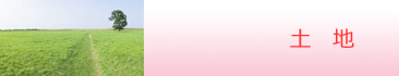 土地