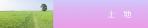 土地