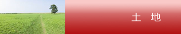 土地