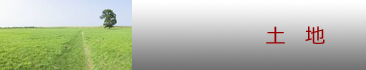 土地