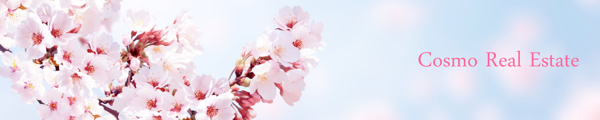 コスモ不動産