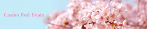 有限会社コスモ不動産