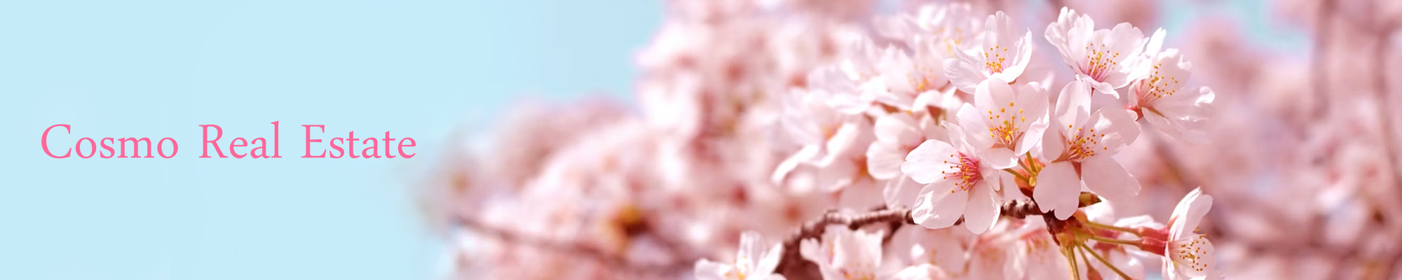 コスモ不動産