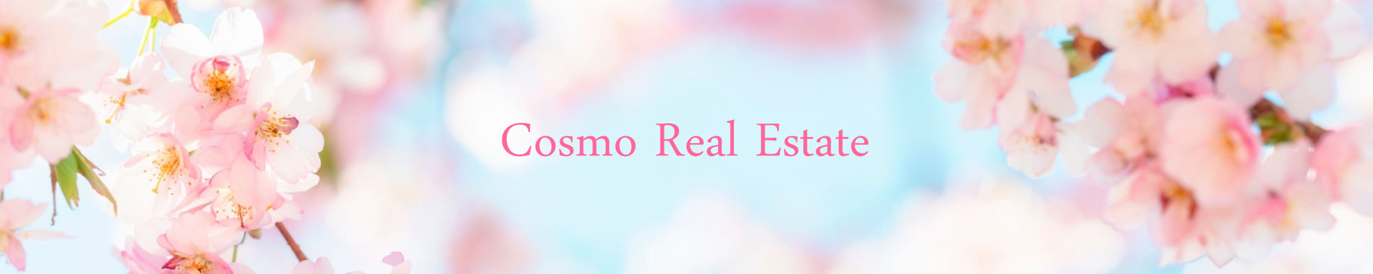 コスモ不動産